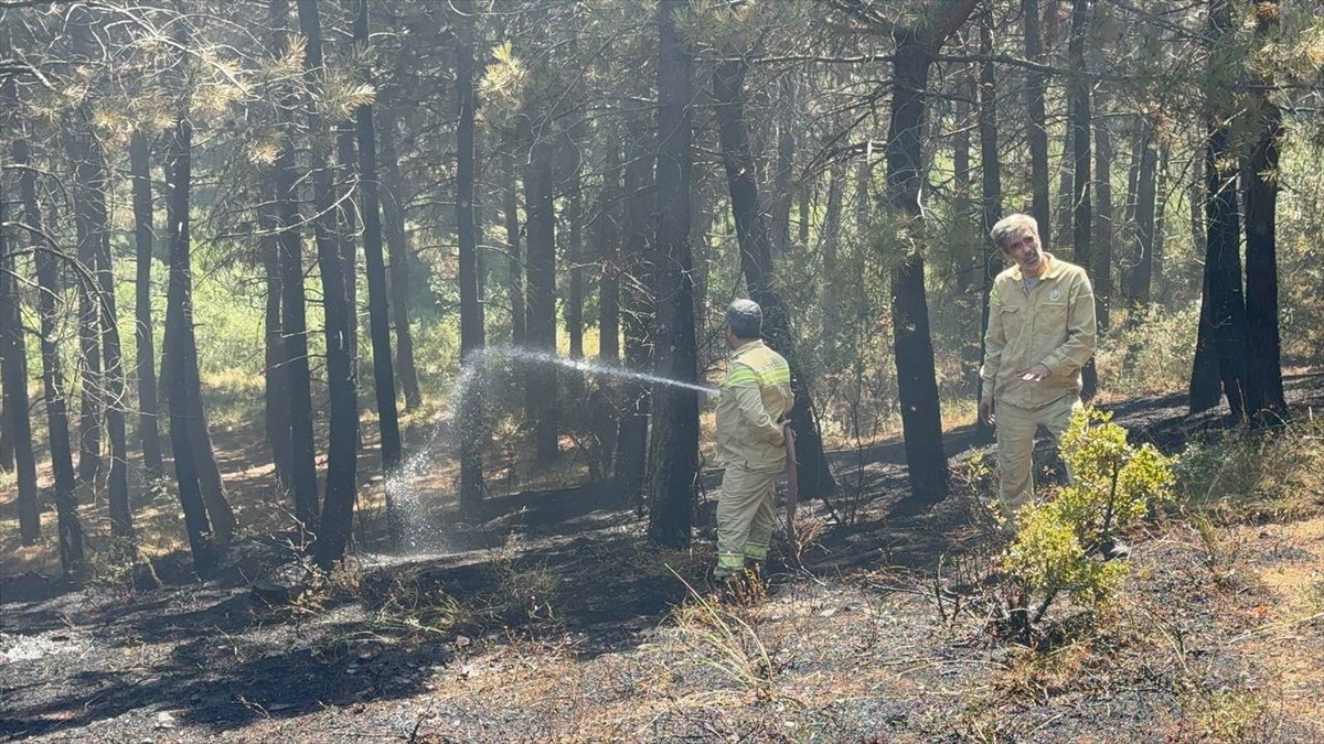  İstanbul'da Aydos Ormanı'nda çıkan yangın havadan ve karadan itfaiye ekiplerinin müdahalesiyle...
