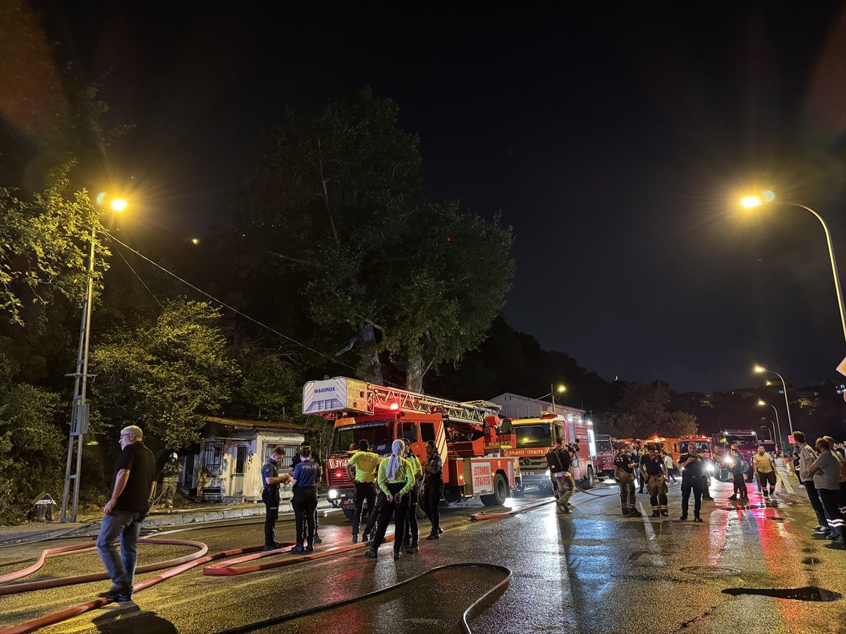 İstanbul, Beykoz'da ormanlık alanda çıkan yangın itfaiye ekiplerinin müdahalesiyle...