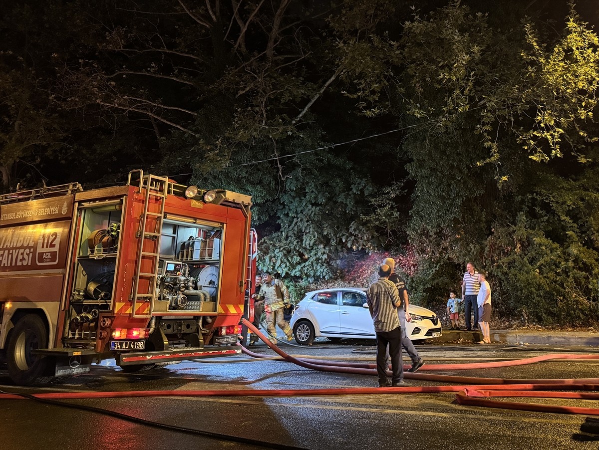 İstanbul, Beykoz'da ormanlık alanda çıkan yangın itfaiye ekiplerinin müdahalesiyle...