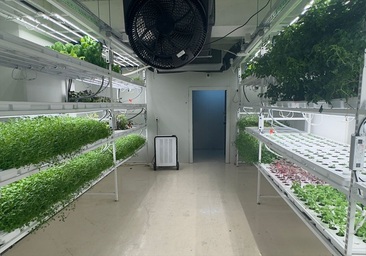 İstanbul İl Tarım ve Orman Müdürlüğüne bağlı olarak, Kağıthane Belediyesi Kültür Merkezi’nin...