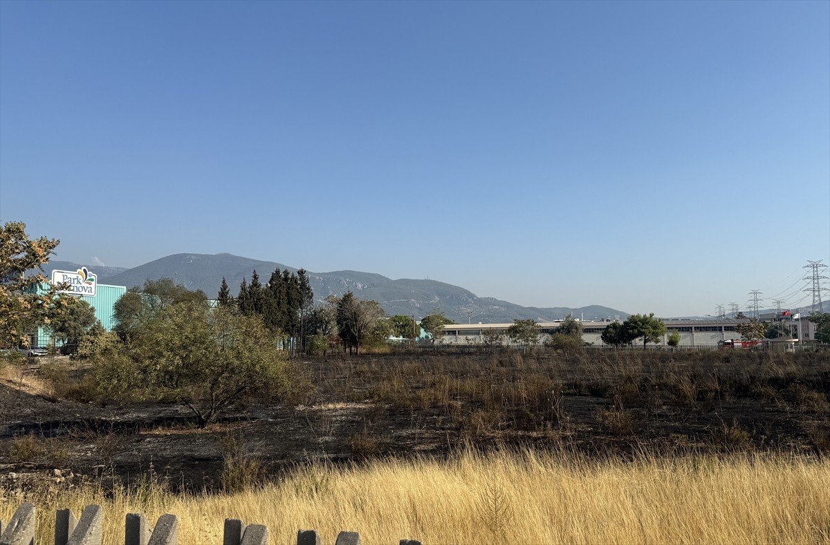İzmir'in Bornova ilçesi Doğanlar Mahallesi'ndeki bir alışveriş merkezinin yanında bulunan boş...