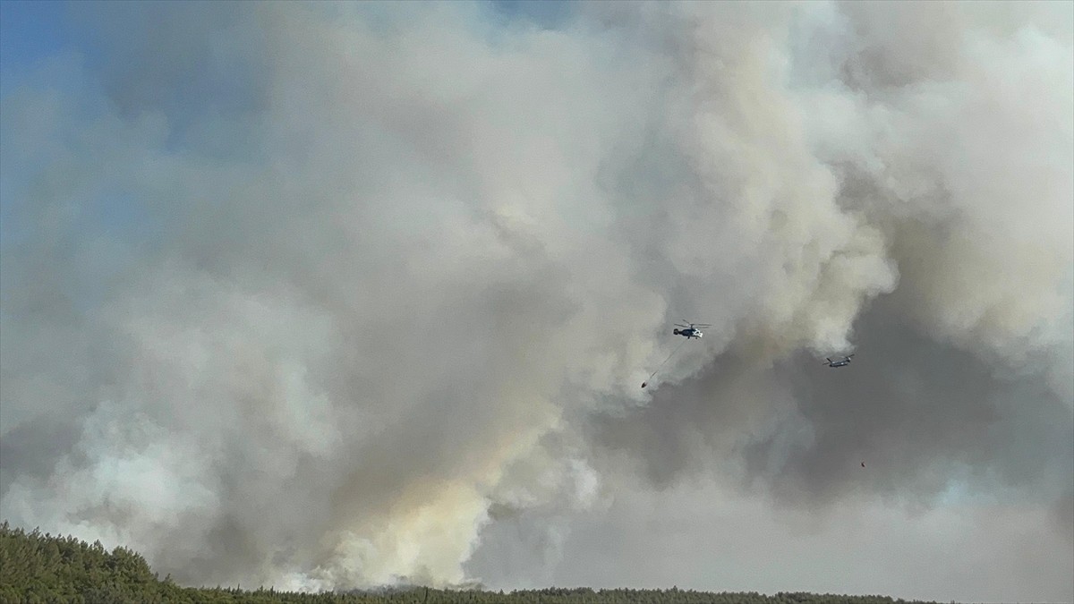 İzmir'in Buca ilçesinde ormanlık alanda çıkan yangına müdahale ediliyor. İhbar üzerine bölgeye...