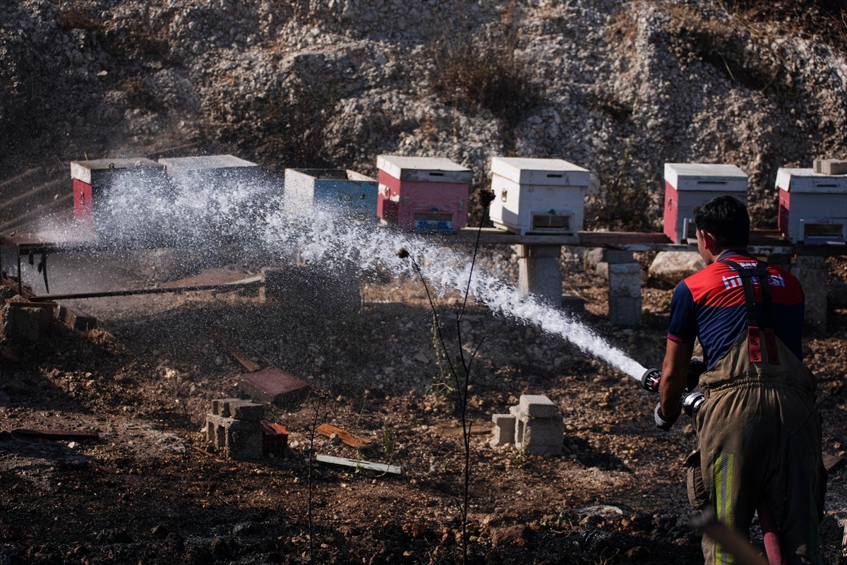İzmir'in Buca ilçesinde otluk alanda çıkan yangın havadan ve karadan müdahaleyle kontrol altına...