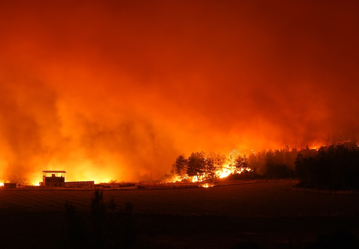 İzmir'in Buca ilçesindeki ormanlık alanda henüz belirlenemeyen nedenle yangın çıktı.