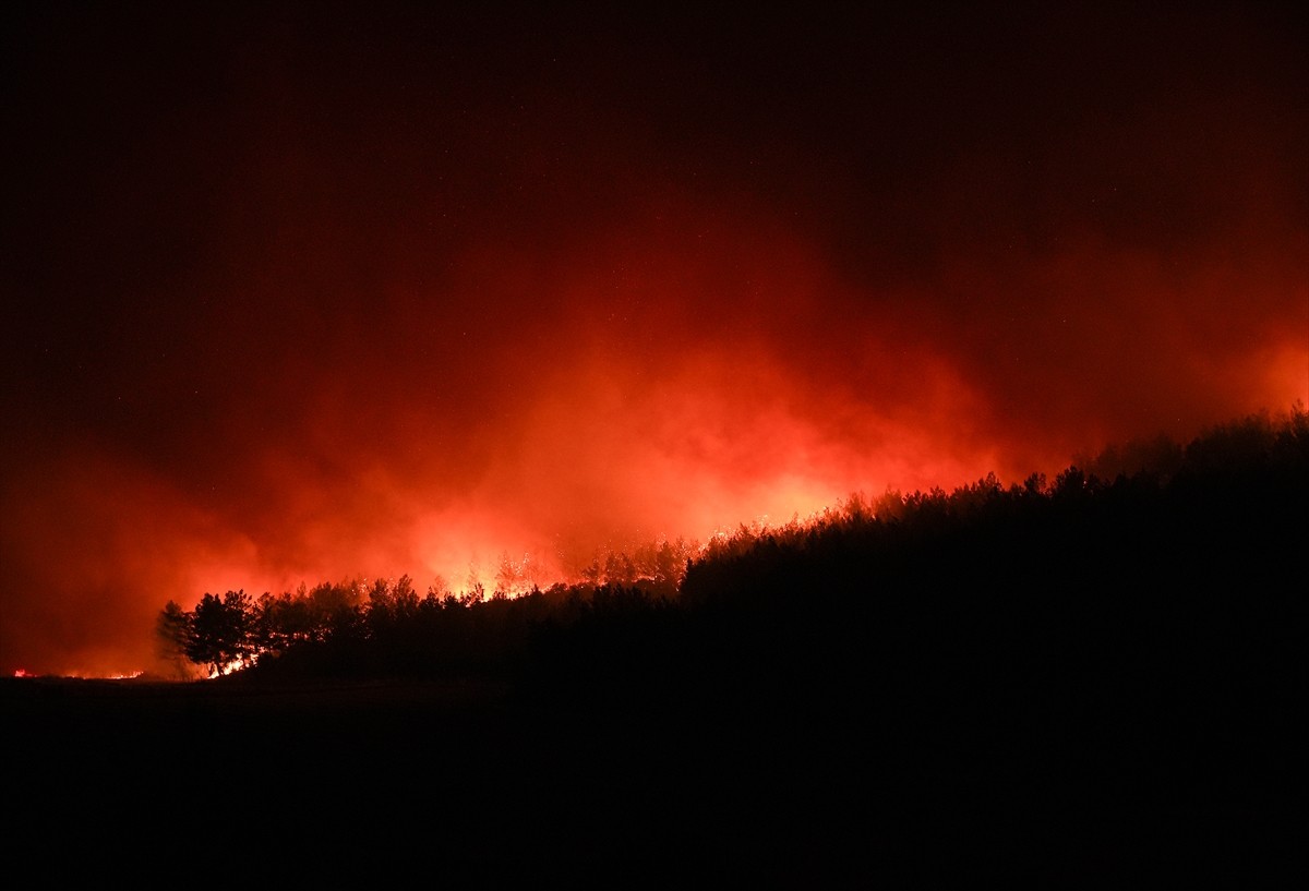 İzmir'in Buca ilçesindeki ormanlık alanda henüz belirlenemeyen nedenle yangın çıktı.