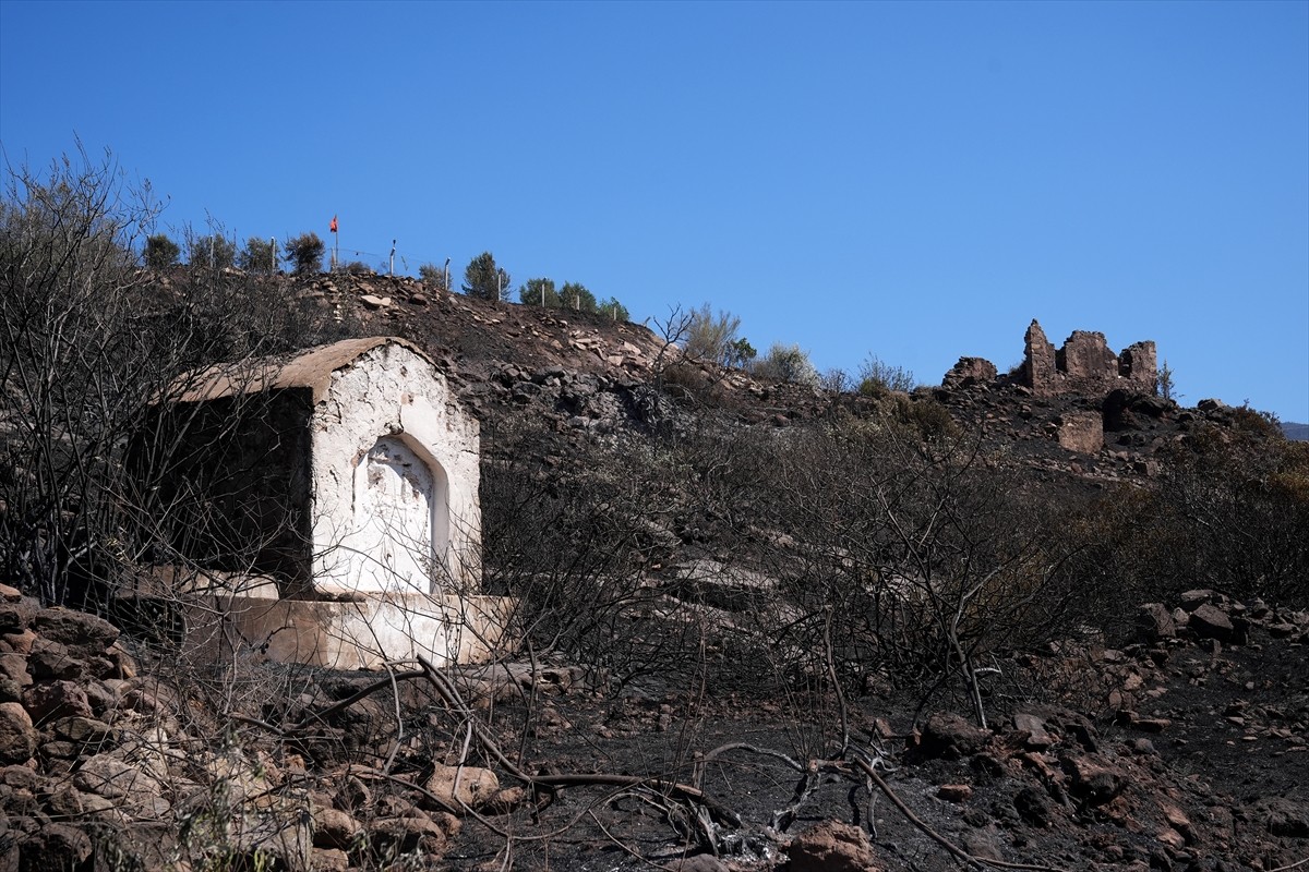 İzmir'in Seferihisar ve Menderes ilçelerinde rüzgarın da etkisiyle kısa sürede büyüyen ve...