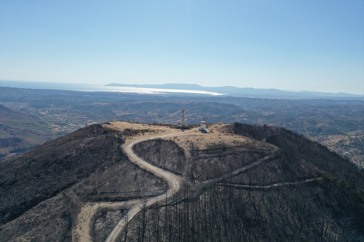 İzmir’in Menderes ilçesinde çıkan orman yangınını ilk fark eden kule gözetleme personeli Alper...