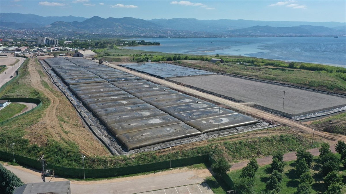 İzmit Körfezi'nde biyoçeşitliliğin korunması amacıyla başlatılan çalışma kapsamında şu ana kadar...