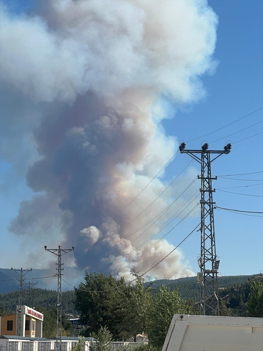 Karabük'te ormanlık alanda çıkan yangın söndürülmeye çalışılıyor.