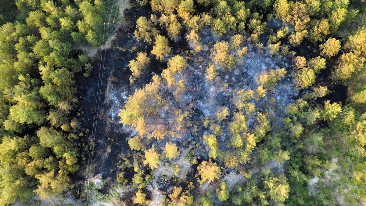 Karabük'ün Ovacık ilçesinde ormanlık alanda çıkan yangın, havadan ve karadan müdahaleyle kontrol...