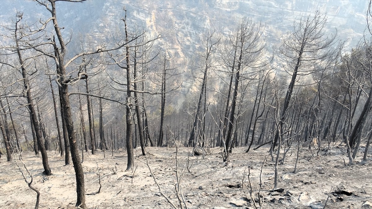 Karabük'ün Safranbolu ilçesinde ormanlık alanda çıkan yangınlar, üçüncü gününde söndürülmeye...