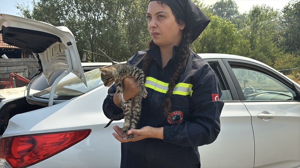 Karabük'ün Safranbolu ve Ovacık ilçelerinde çıkan orman yangınlarında havyanseverler tarafından...
