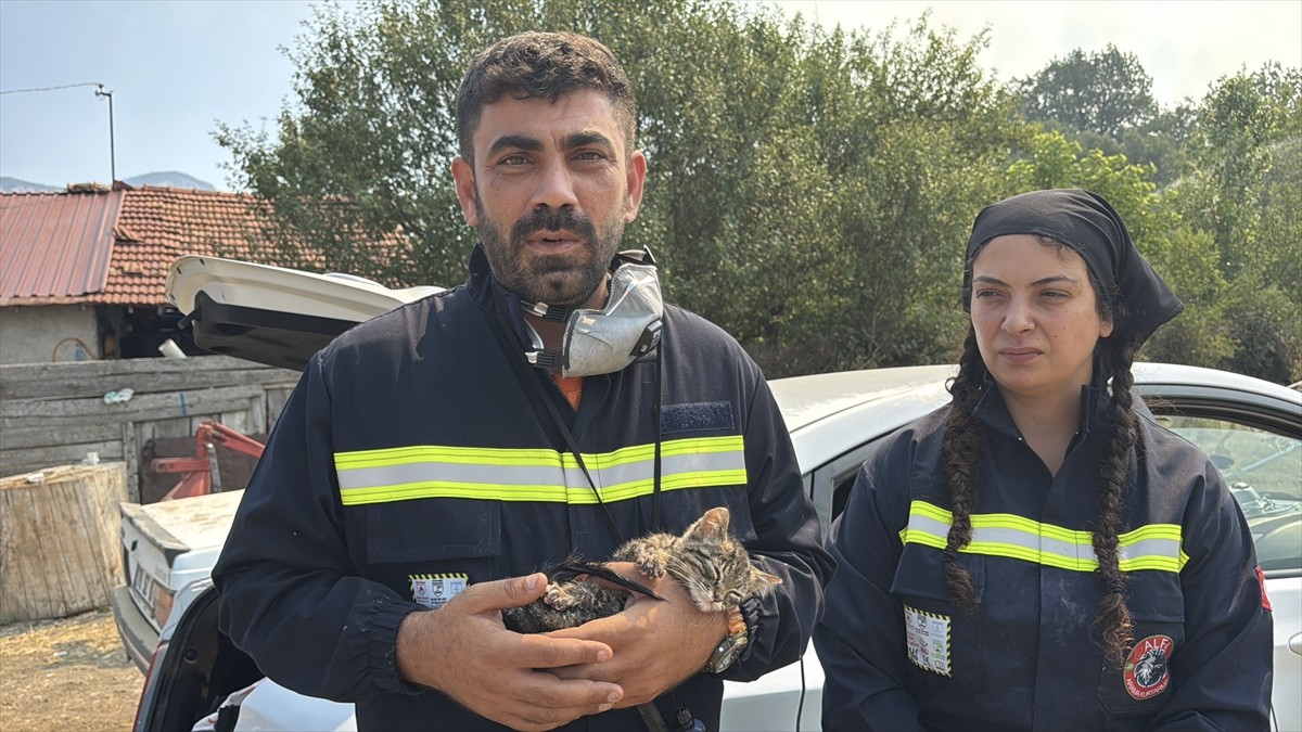 Karabük'ün Safranbolu ve Ovacık ilçelerinde çıkan orman yangınlarında havyanseverler tarafından...