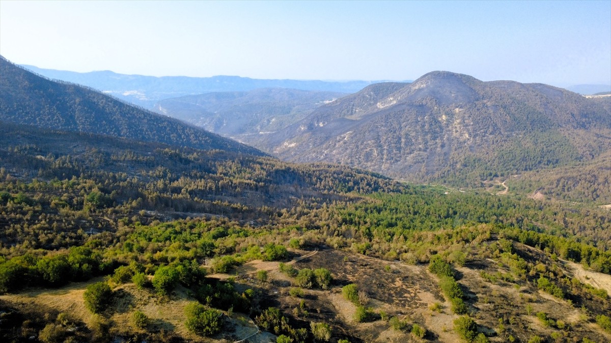 Karabük Merkez, Safranbolu ve Ovacık ilçelerinde kontrol altına alınan orman yangınları...