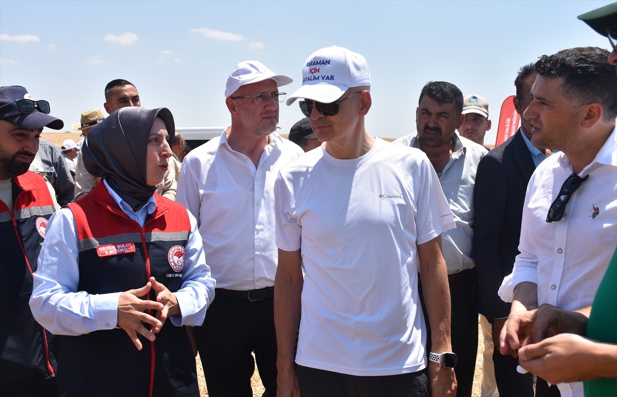 Karaman'da yerli tohum çeşitleri kullanılarak ekimi yapılan buğdayın hasadı gerçekleştirildi. Vali...