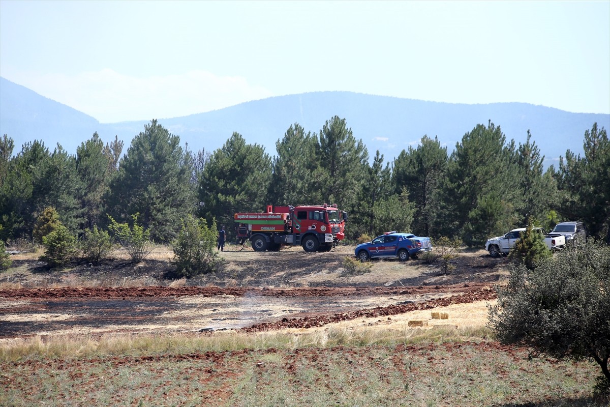 Kastamonu'nun Taşköprü ilçesinde tarım arazisinde başlayıp ormana sıçrayan yangına müdahale...