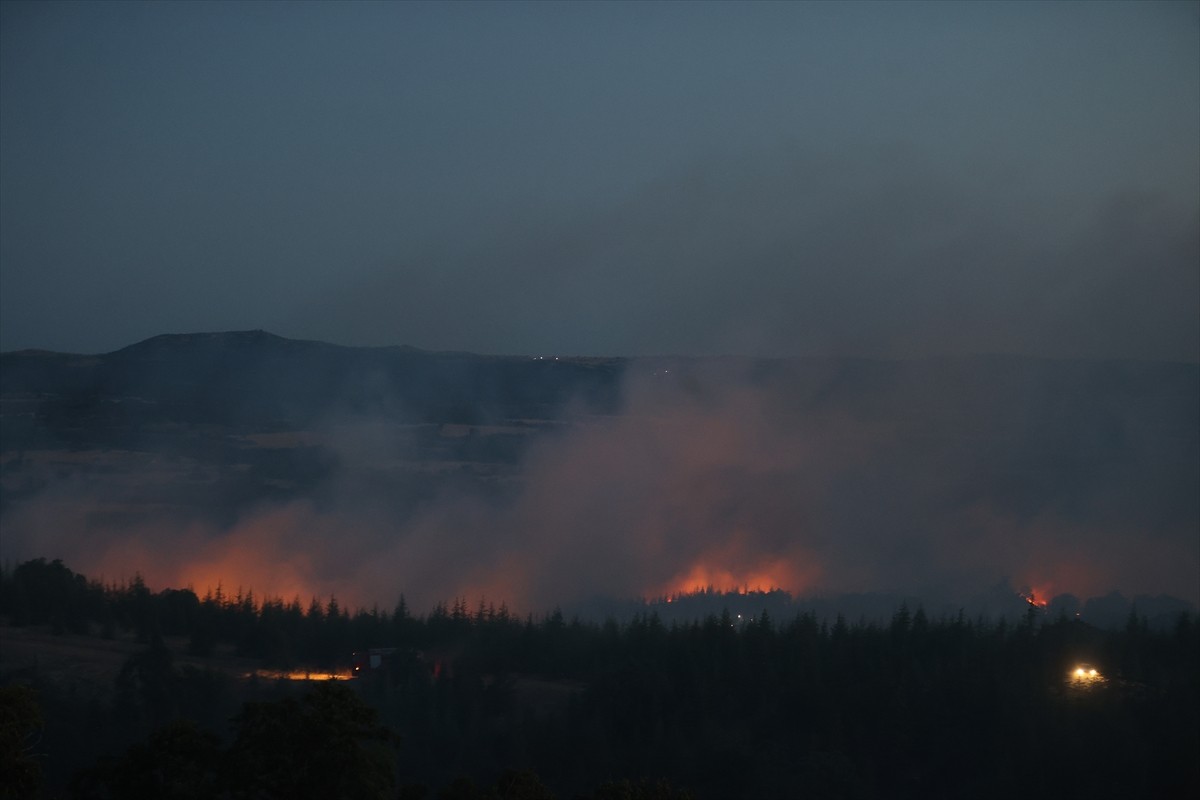 Kırklareli'nin Kofçaz ilçesinde çıkan orman yangını kontrol altına alındı.