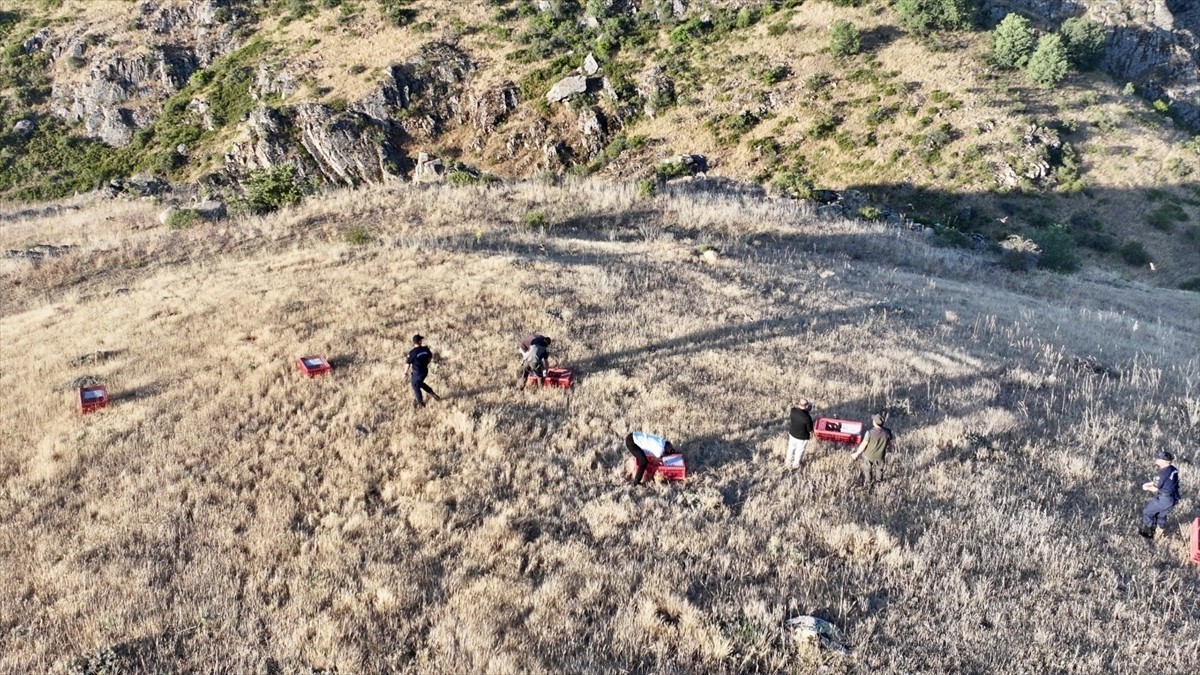 Kırşehir'de keneyle mücadele amacıyla Doğa Koruma ve Milli Parklar (DKMP) Şube Müdürlüğünce doğaya...