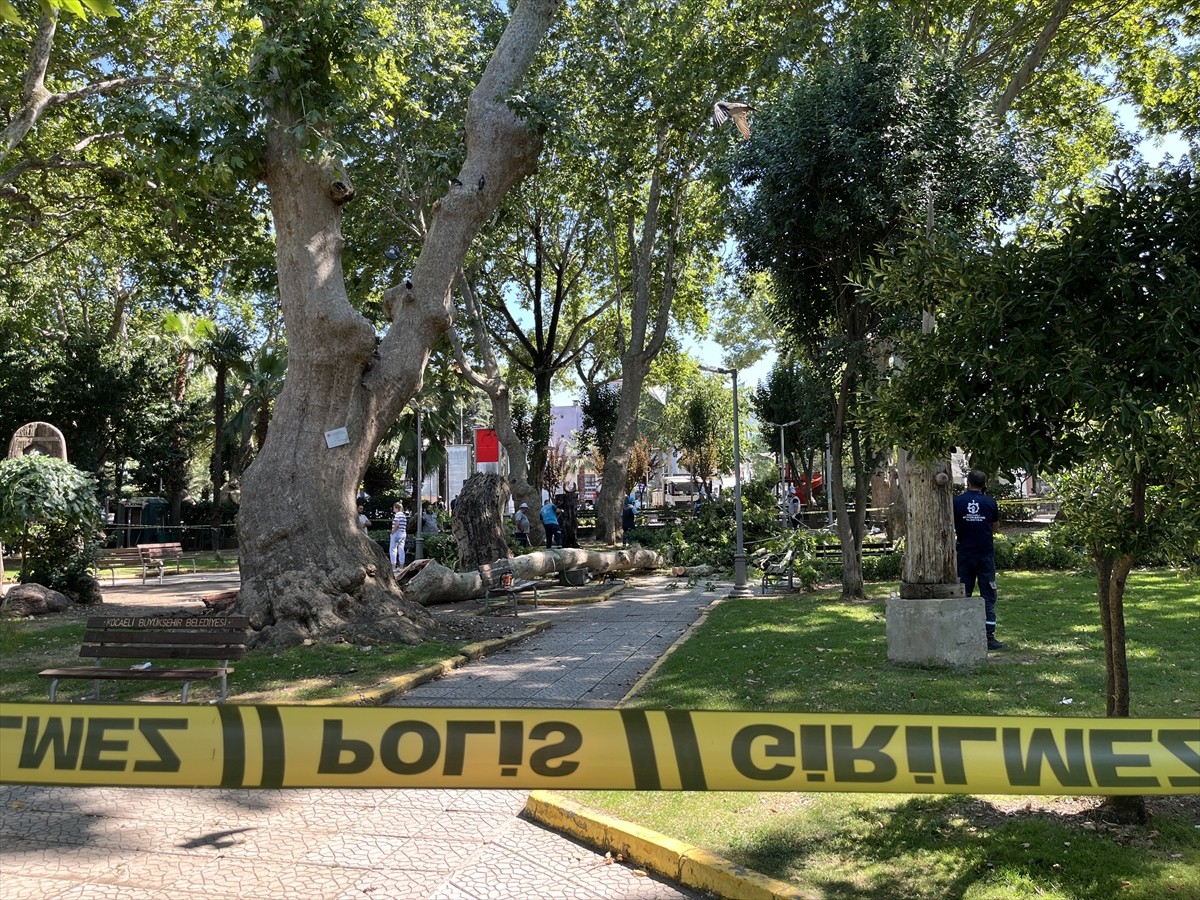 Kocaeli'nin Gölcük ilçesinde ağaçtan kopan dalın düşmesi sonucu 3 kişi yaralandı. Ekipler bölgeye...