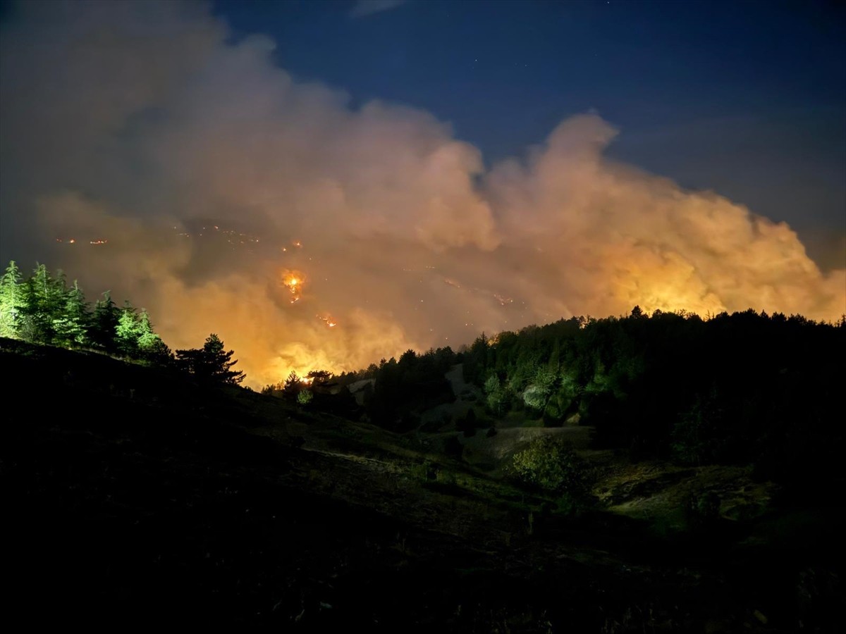 Konya'nın Doğanhisar ilçesinde ormanlık alanda çıkan yangına havadan ve karadan müdahale...