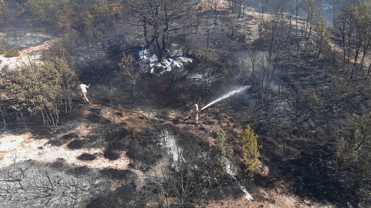 Kütahya'da tarlada başlayıp ormanlık alana sıçrayan yangın, ekiplerin müdahalesi sonucu kontrol...