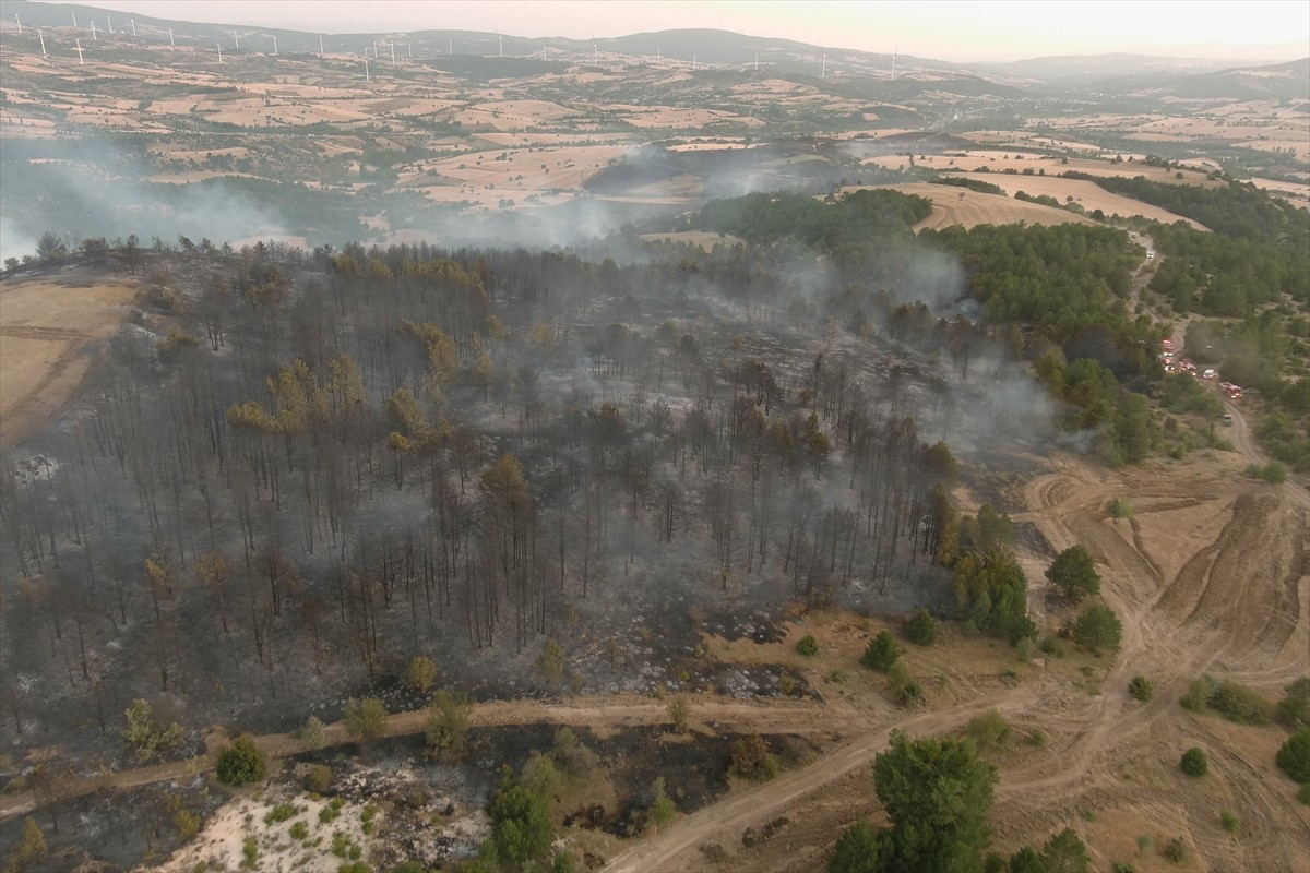 Kütahya'nın Dumlupınar ilçesinde çıkan orman yangınına, havadan ve karadan müdahale...