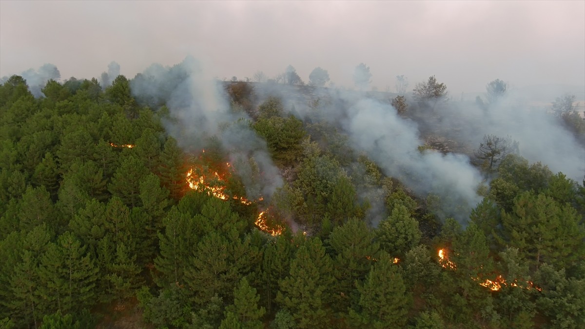 Kütahya'nın Dumlupınar ilçesinde çıkan orman yangınına, havadan ve karadan müdahale...