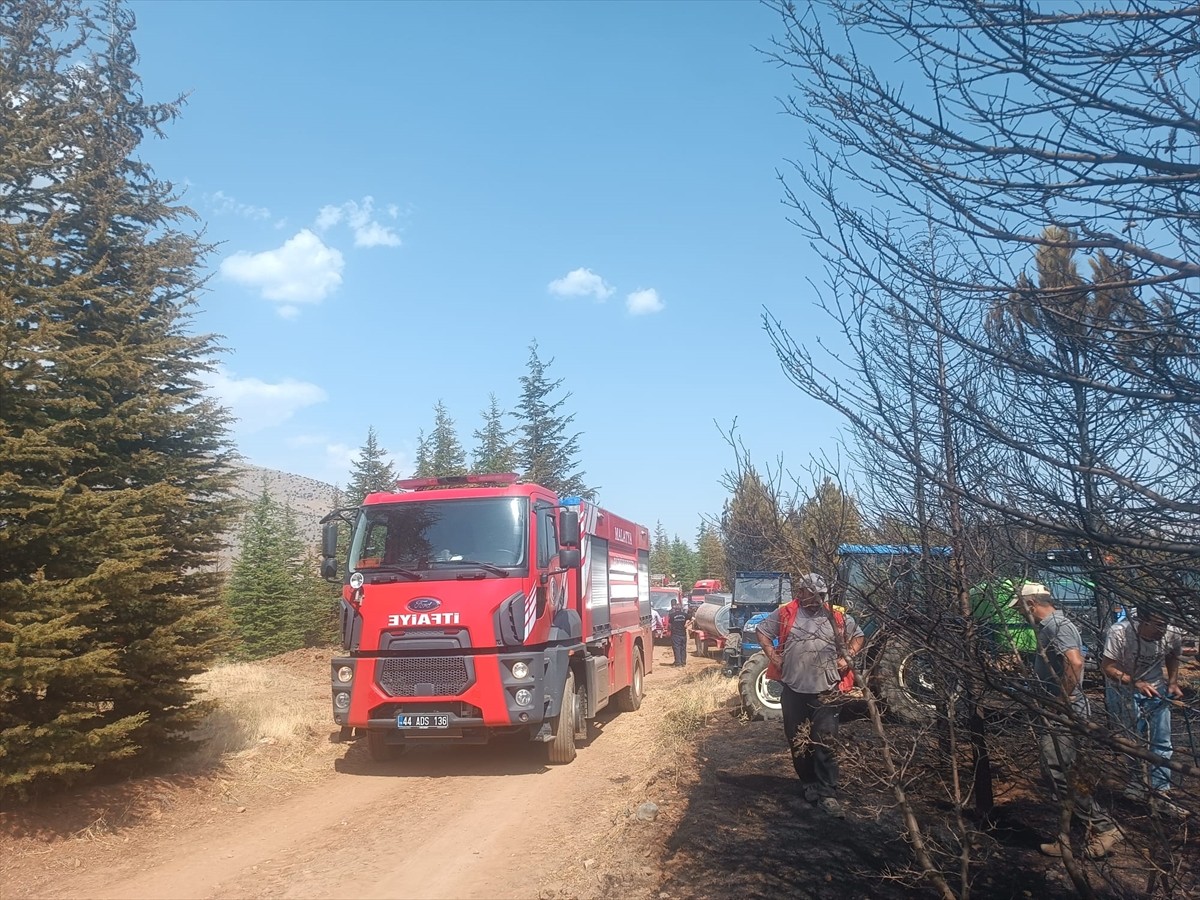 Malatya'nın Doğanşehir ilçesinde henüz belirlenemeyen nedenle çıkan orman yangını...