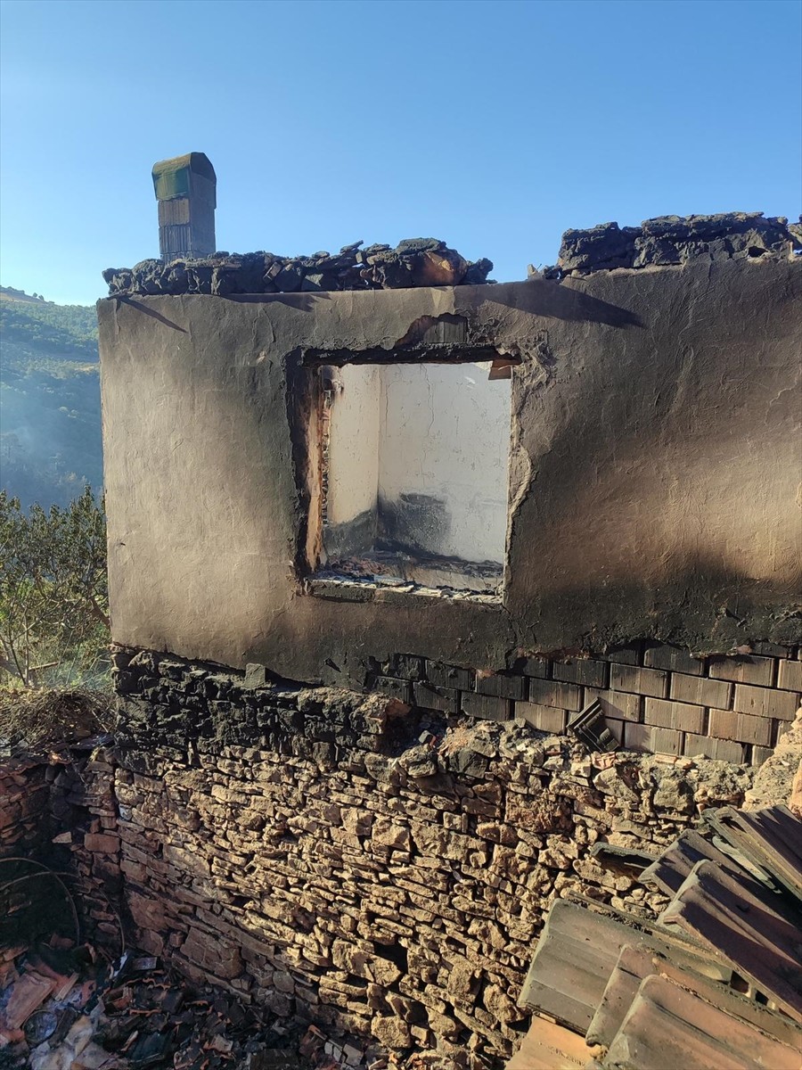 Manisa'nın Akhisar ilçesinde çıkan orman yangını ekiplerin müdahalesiyle kontrol altına alındı....