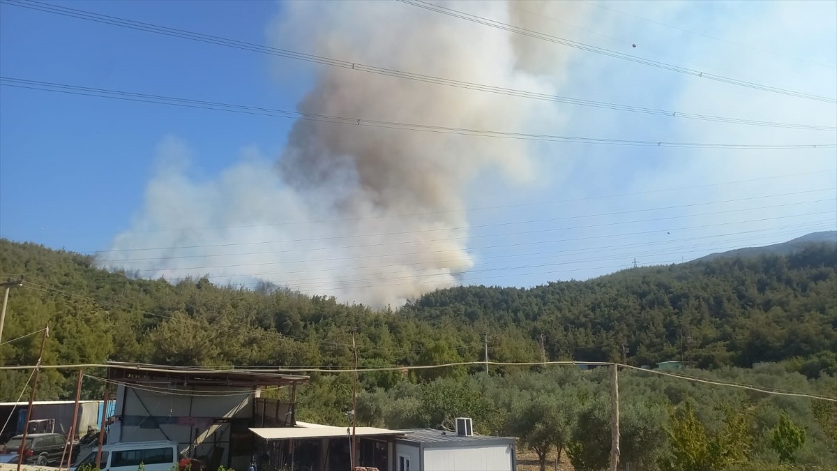 Manisa'nın Yunusemre ilçesinde çıkan orman yangınına havadan ve karadan müdahale ediliyor.