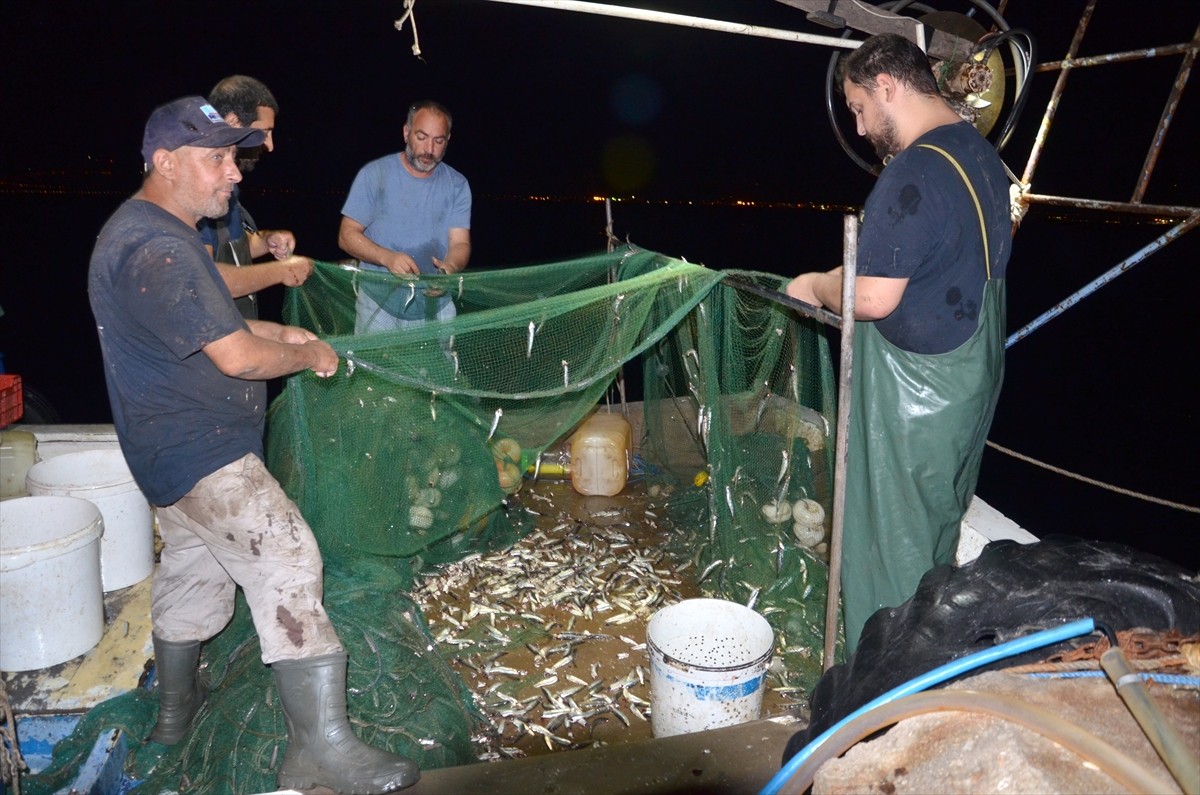 Marmara Bölgesi'nin en büyük toptan su ürünleri satış noktalarından biri olan Kocaeli'nin...