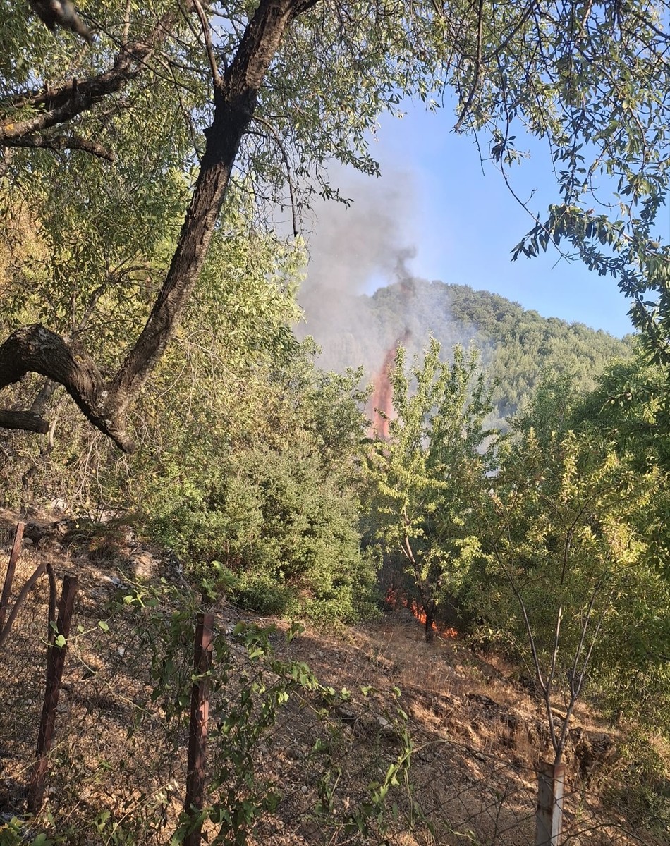 Mersin'in Anamur ilçesinde çıkan orman yangını ekiplerin havadan ve karadan müdahalesiyle kontrol...