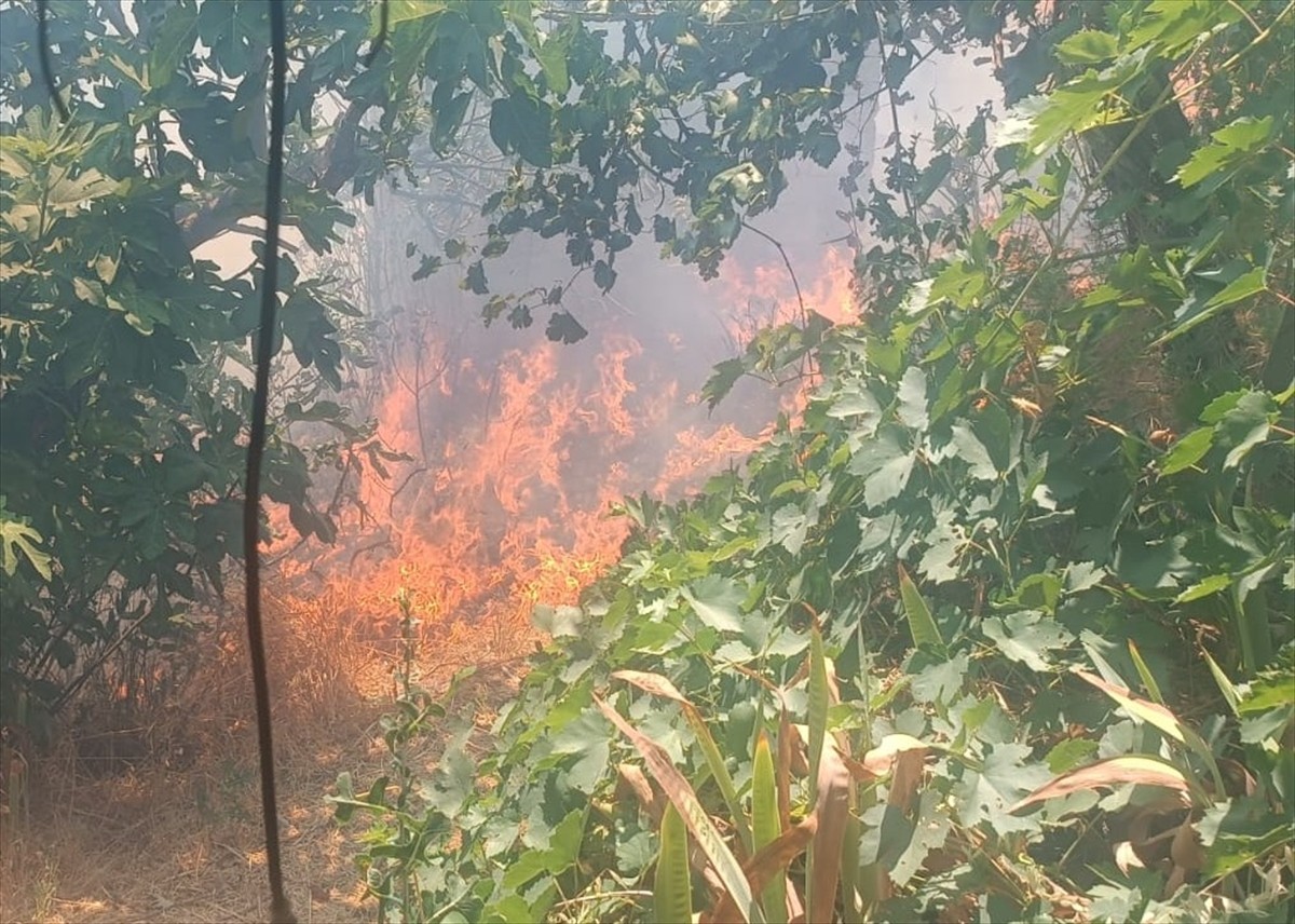 Mersin'in Mut ilçesinde bahçede başlayıp ormanlık alana sıçrayan yangın, havadan ve karadan...