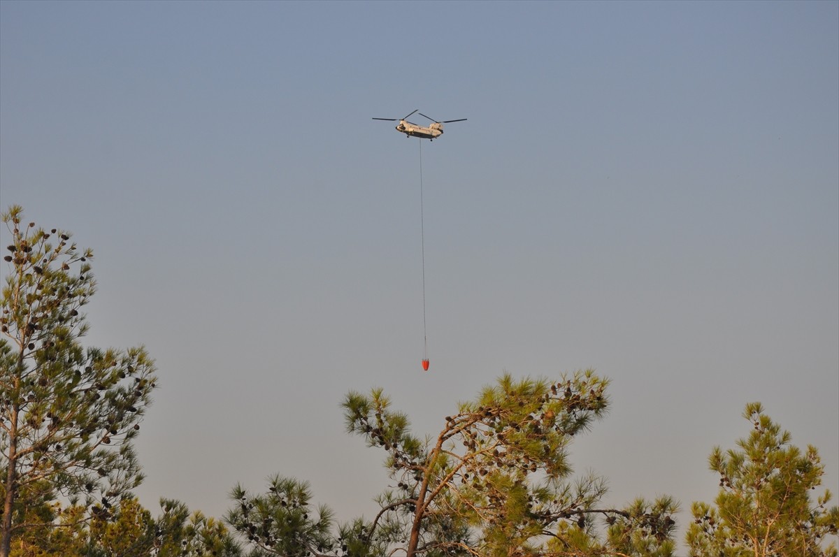 Mersin'in Silifke ilçesinde dün çıkan ve büyük ölçüde kontrol altına alınan orman yangınına...