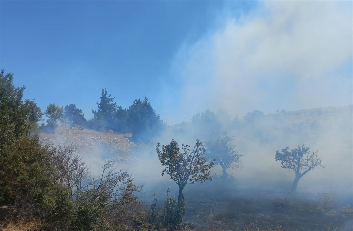 Mersin'in Silifke ilçesinde tarım arazisinde çıkan yangın, ekiplerin havadan ve karadan...