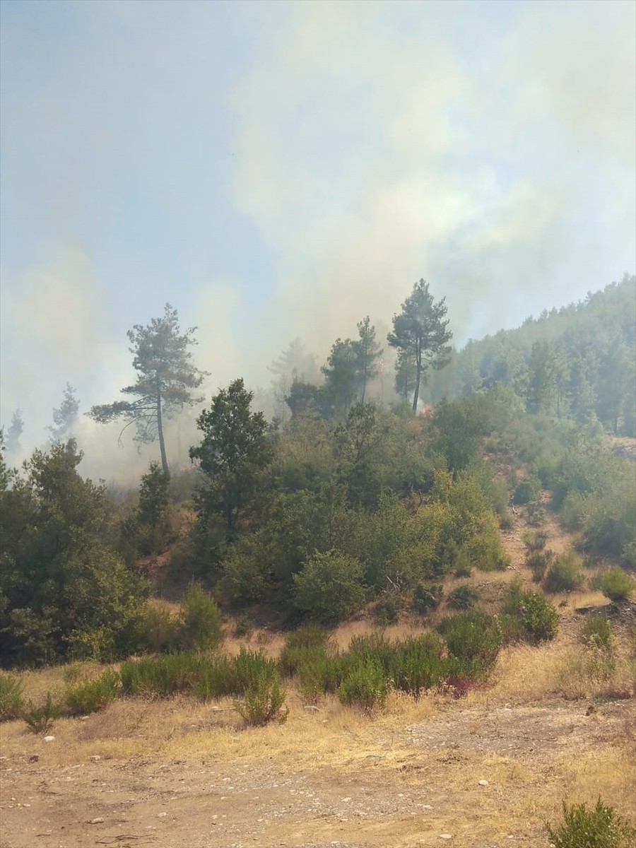 Muğla'nın Menteşe ilçesinde çıkan orman yangınına havadan ve karadan müdahale ediliyor.