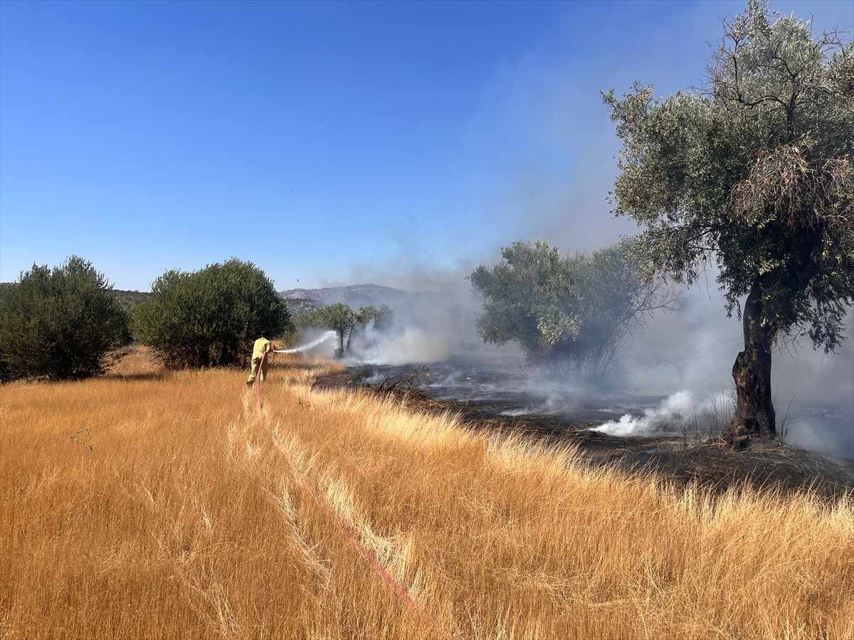 Muğla'nın Milas ilçesinde ormanlık alanda çıkan yangını söndürme çalışmaları...