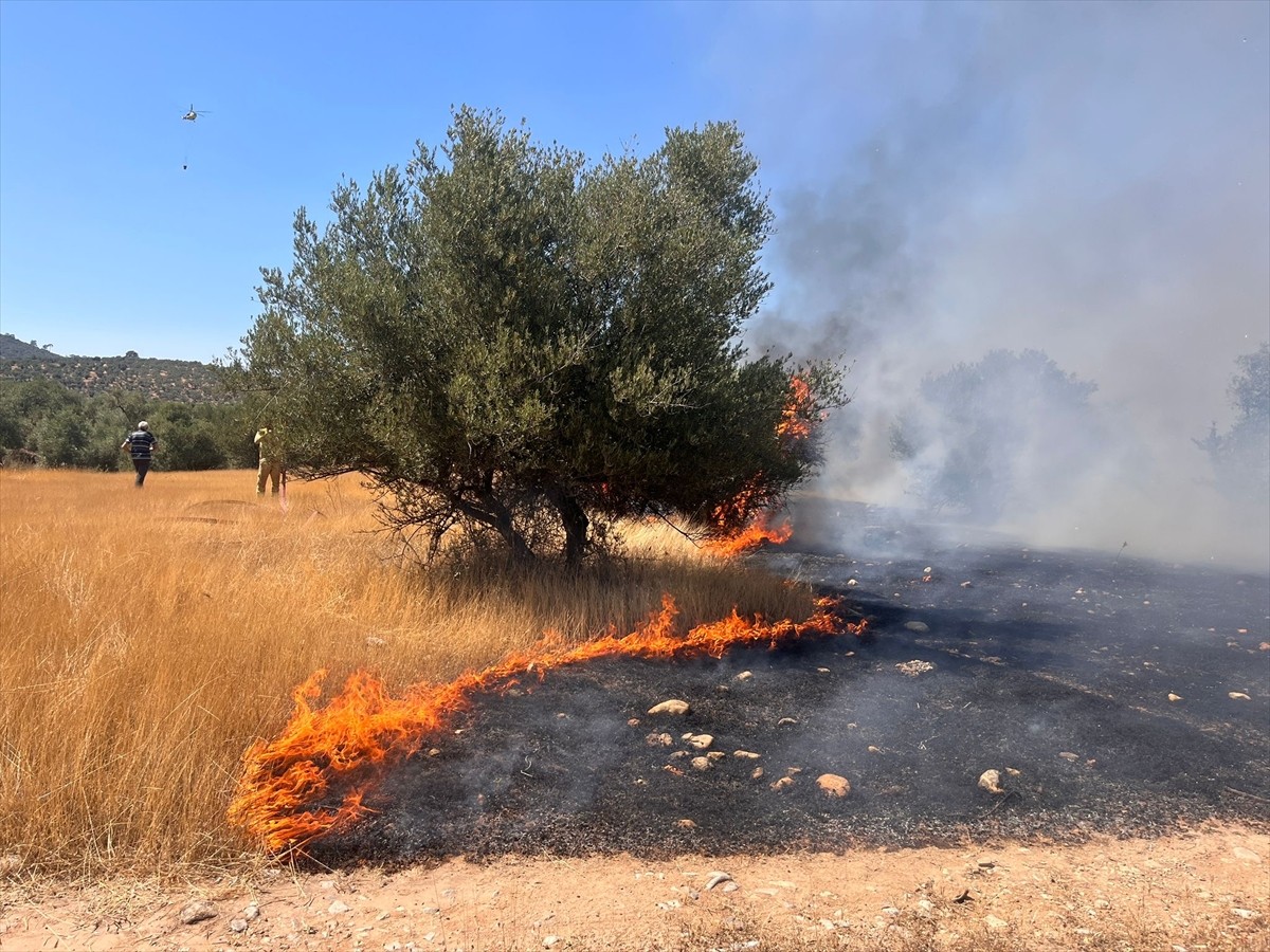 Muğla'nın Milas ilçesinde ormanlık alanda çıkan yangını söndürme çalışmaları...