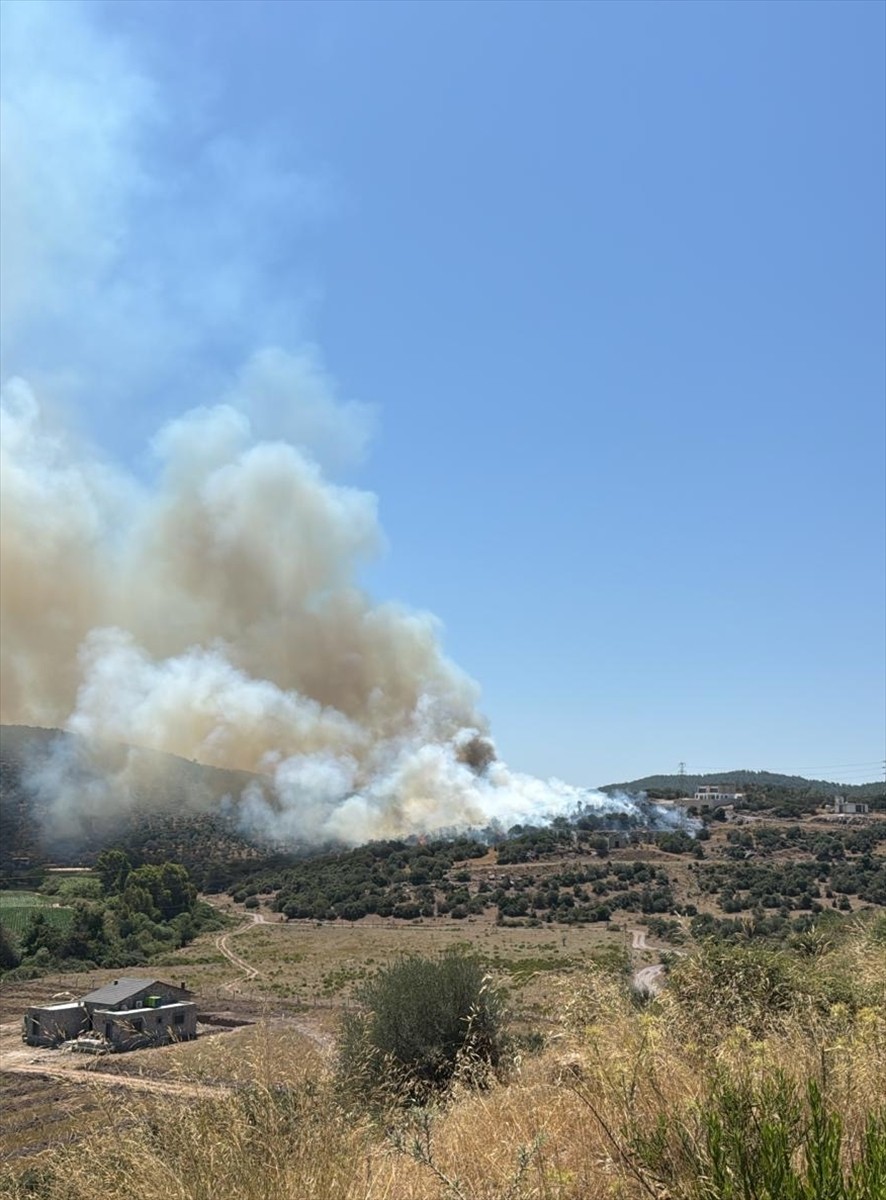 Muğla'nın Milas ilçesinde ziraat alanında çıkan yangın havadan ve karadan müdahaleyle...