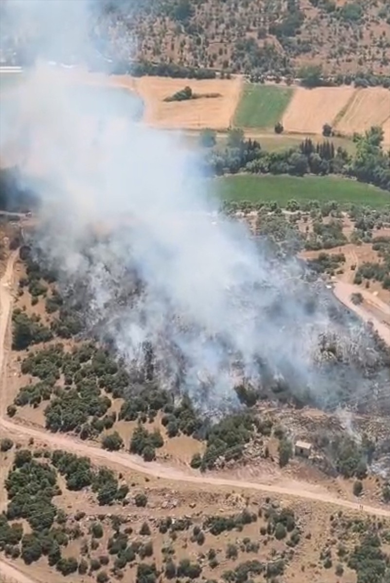 Muğla'nın Milas ilçesinde ziraat alanında çıkan yangın havadan ve karadan müdahaleyle...