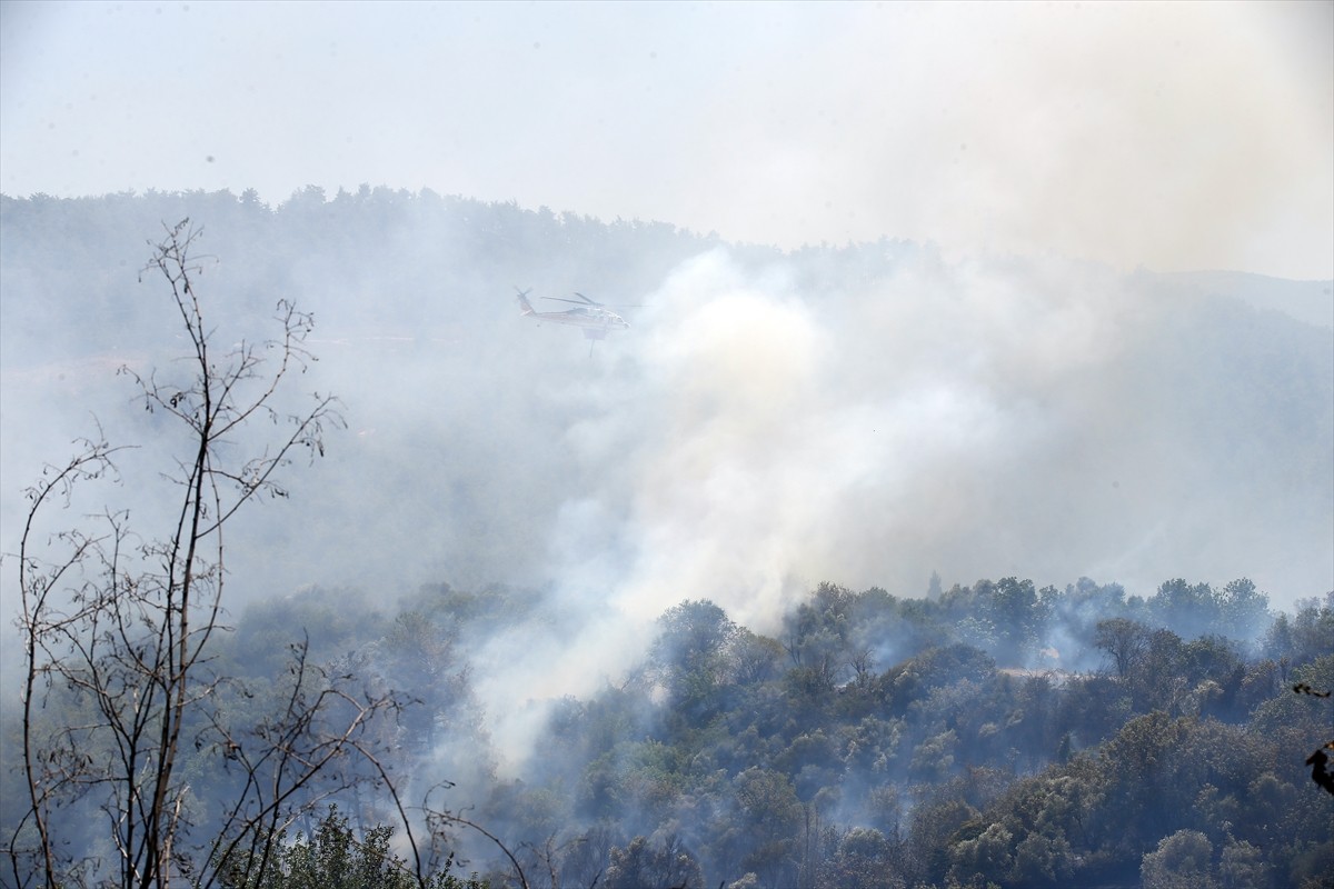 Muğla’nın Yatağan ilçesinde tarım arazisinde çıkan yangın, havadan ve karadan müdahaleyle kontrol...