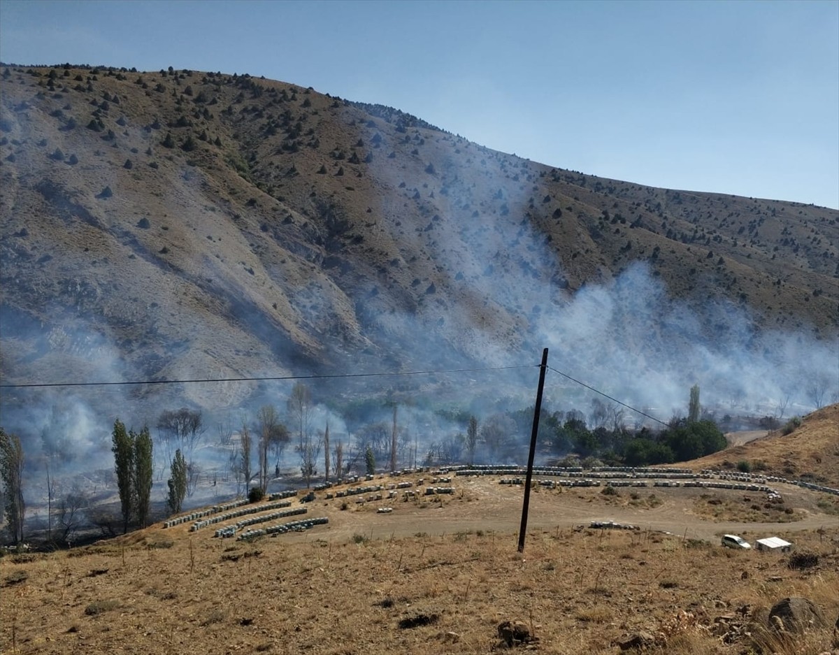 Niğde'nin Bor ilçesine bağlı Postallı köyünde ağaçlık alanda çıkan yangın, itfaiye ekiplerince...