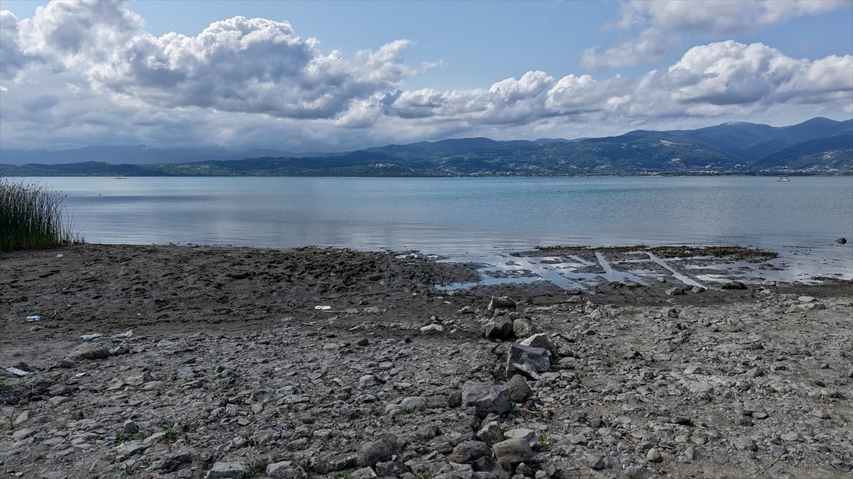 Sakarya'da kurak geçen yaz mevsimi ve mevsim normalleri üzerinde yaşanan sıcaklık nedeniyle...
