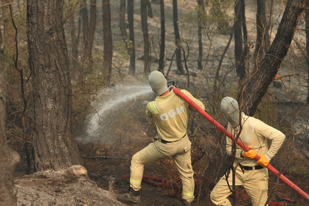 Sakarya'nın Geyve ilçesinde çıkan orman yangını üçüncü gününde söndürülmeye...
