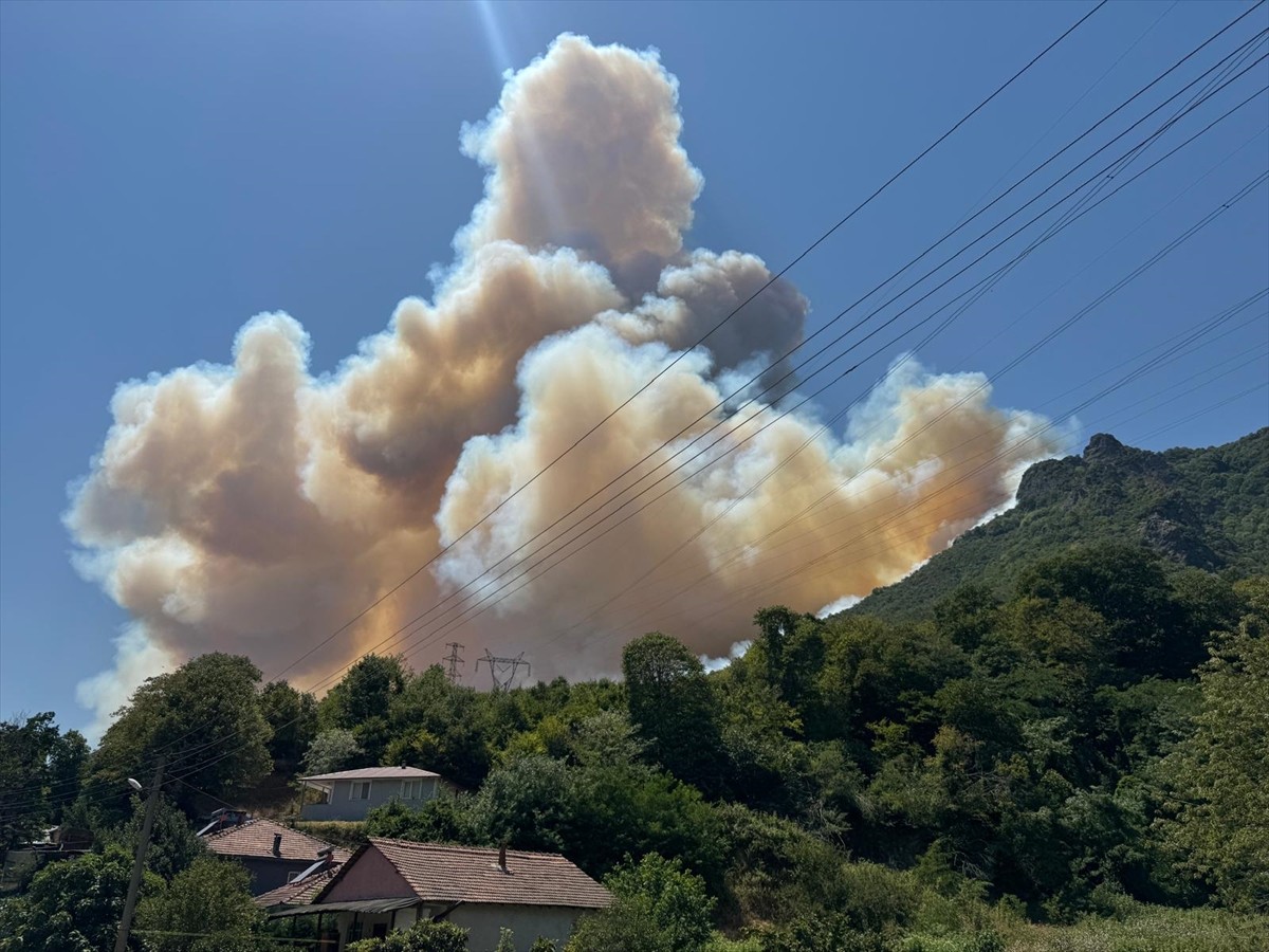 Sakarya'nın Geyve ilçesinde ormanlık alanda çıkan yangına havadan ve karadan söndürülmeye...