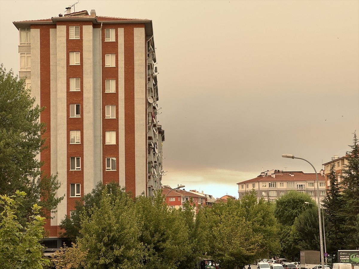 Sakarya'nın Geyve ilçesinde ormanlık alanda çıkıp Bilecik'in Osmaneli ilçesi sınırlarına ulaşan...