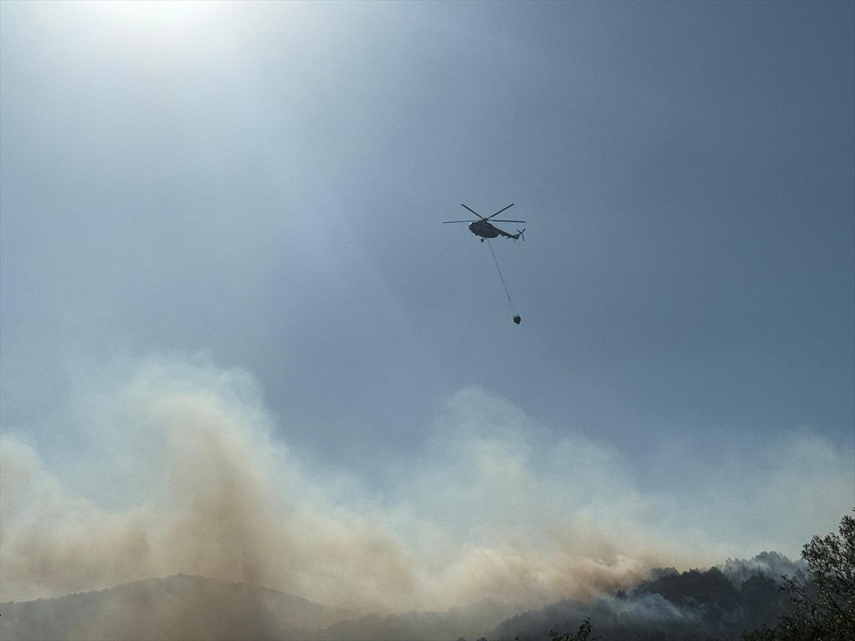 Sakarya'nın Hendek ilçesindeki ormanlık alanda çıkan yangın, söndürülmeye çalışılıyor.