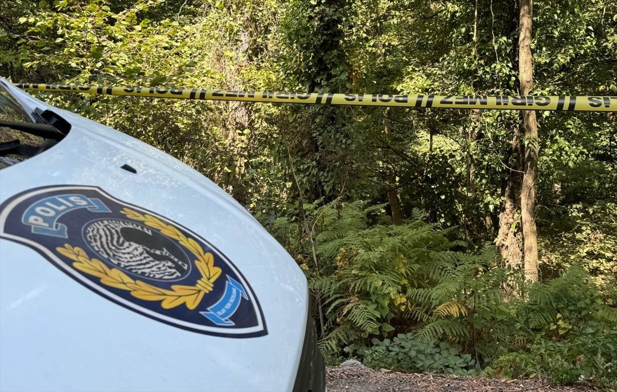 Sarıyer'de ormanlık alandaki yol kenarında erkek cesedi bulundu. Ceset, olay yeri inceleme...