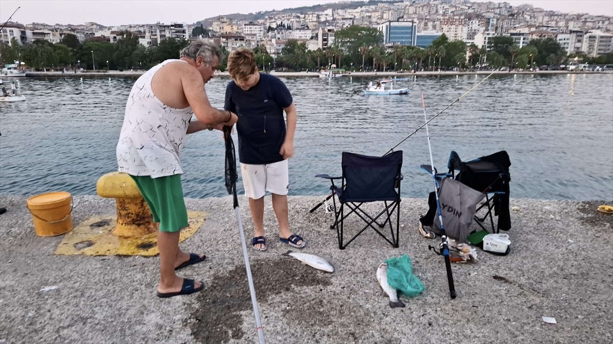 Sinop’ta deniz suyunda meydana gelen ani soğumayla bazı balık türleri kıyıya vurdu. "Deniz soğuğu"...