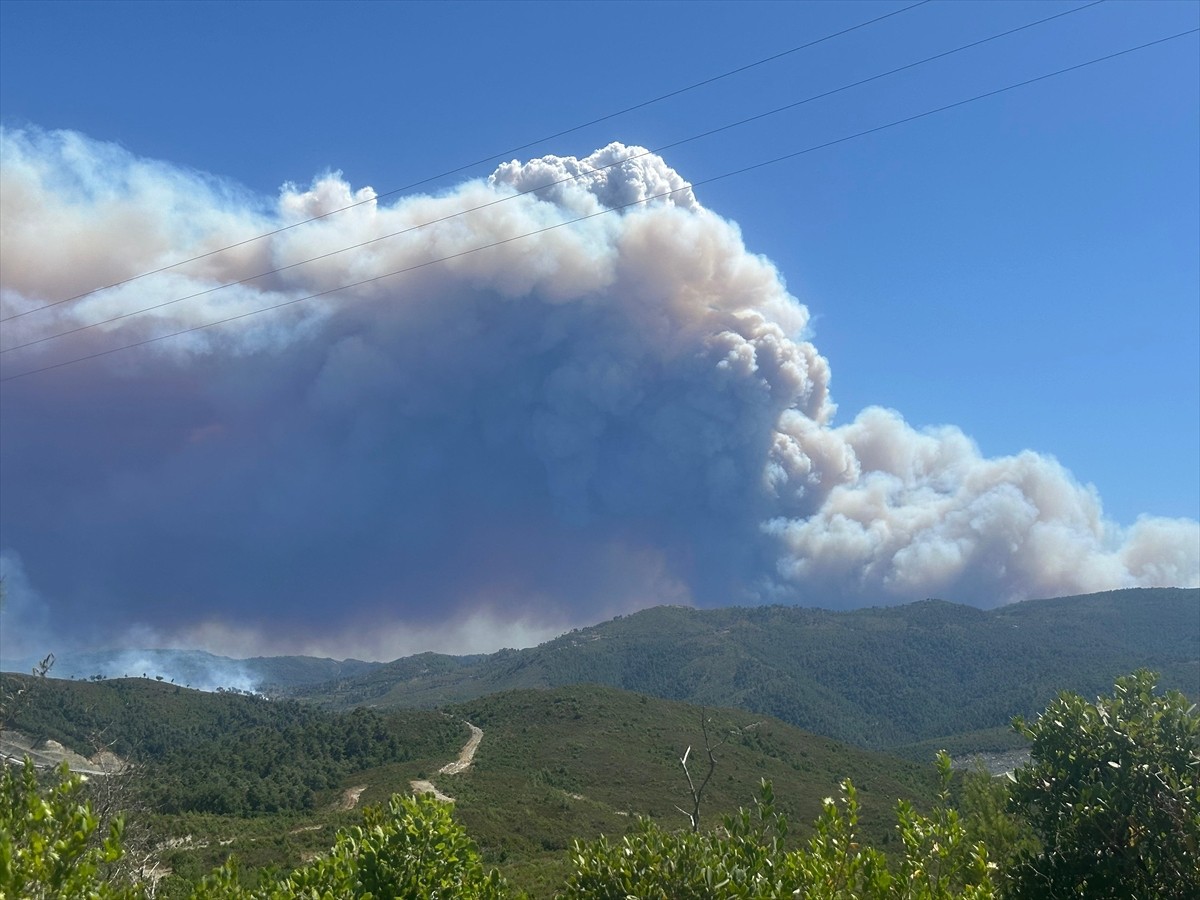 Suriye'nin Lazkiye ilinin Bayırbucak bölgesinde birden fazla köyde orman yangını çıktı. Devam eden...